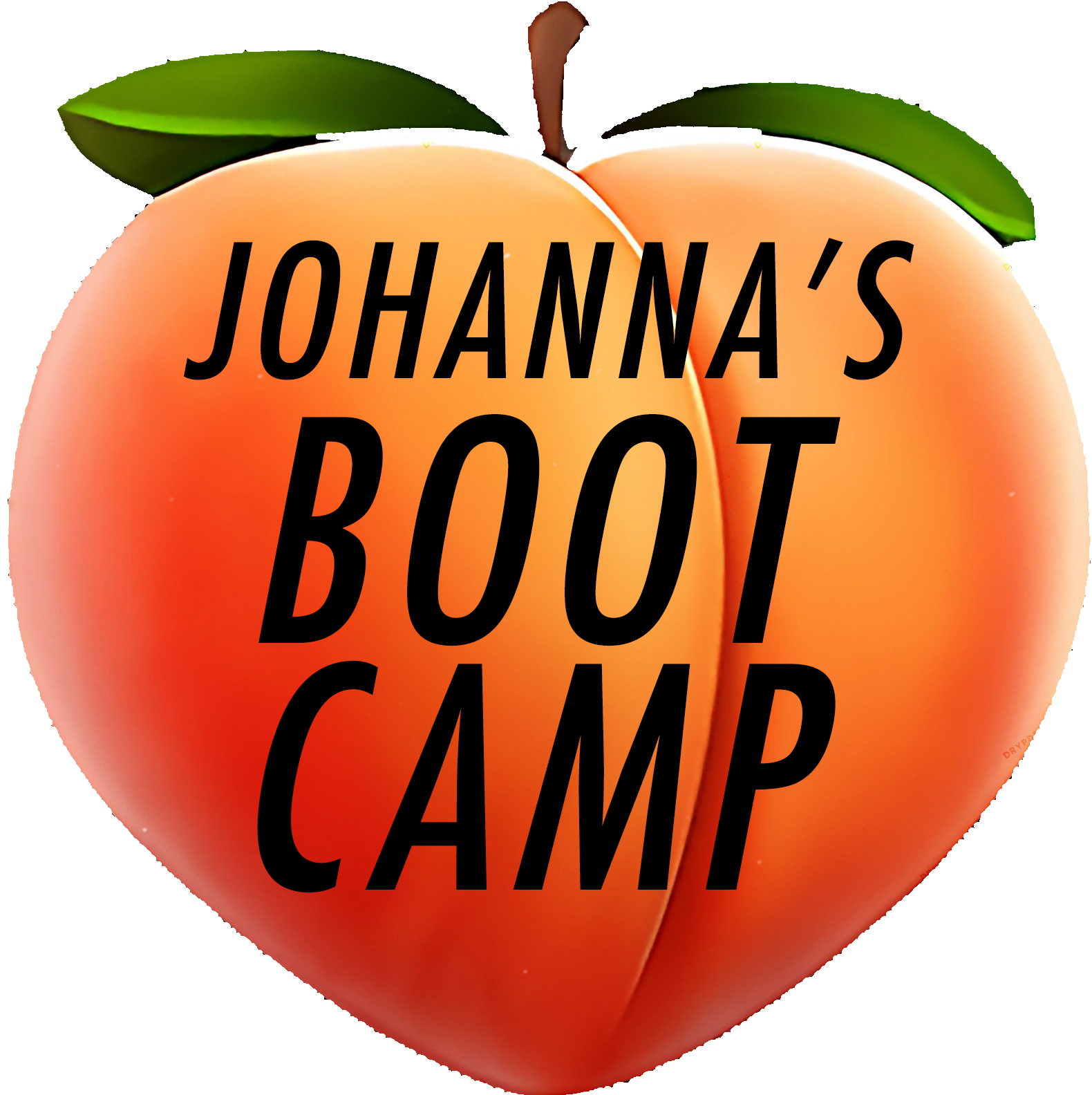 Johanna's Bootcamp